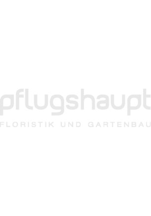 Brand name